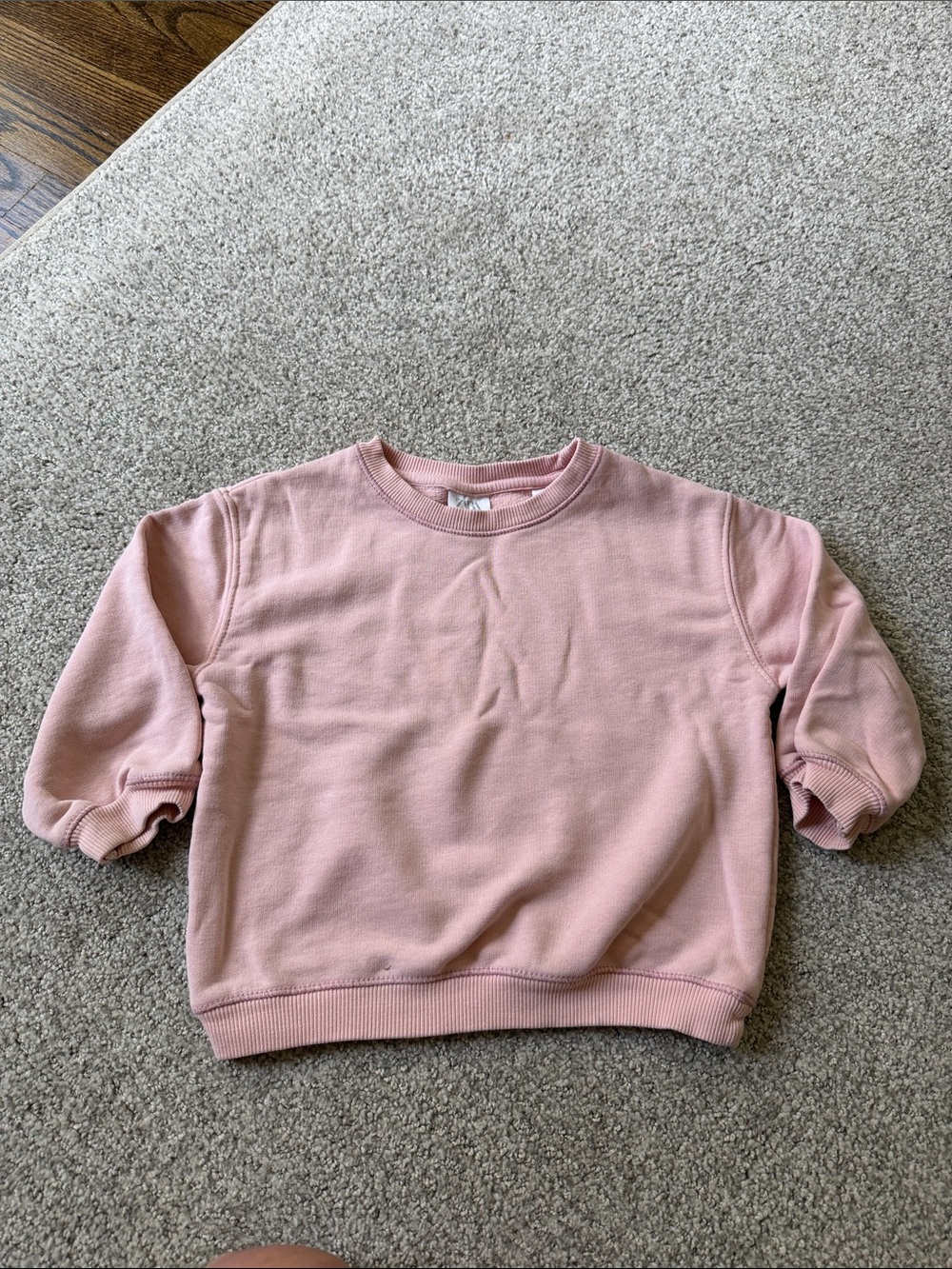 Zara Kids Pink Crewneck Sweatshirt